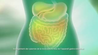 Buscopan® Canada  15 Sec TV Commercial  French [upl. by Dnalevets173]