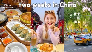 life in china amp everything i ate 🇨🇳 claypot rice 24hr yum cha street food durian pizza etc [upl. by Neelyaj969]