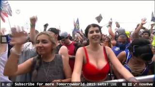 Borgore  Live  TomorrowWorld 2015 34 HD SET [upl. by Leddy]