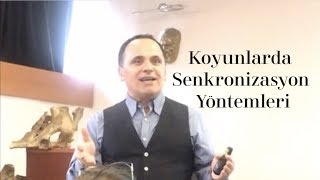 Koyunlarda Senkronizasyon Yöntemleri  Prof Dr Ayhan Baştan [upl. by Refannej]