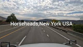 HorseheadsNew YorkUSA 10292023 [upl. by Russell]