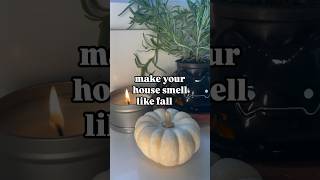 easy fall potpourri simmerpot asmr asmrsounds fallvibes [upl. by Tnattirb]