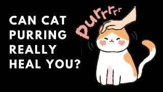 Can Cat Purring Really Heal You  The Surprising Health Benefits [upl. by Owades]