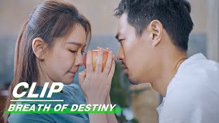 Clip Li Tiancheng And Zhou Yue Grab An Apple  Breath of Destiny EP14  一起深呼吸  iQiyi [upl. by Ames]