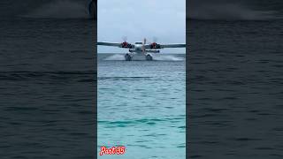 Part 35 seaplane landing 🌊🛬🤩shorts shortvideo shortsfeed short subscribe viralvideo viral [upl. by Perceval]