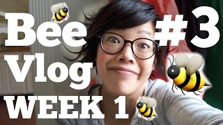 BEE VLOG 3  Week 1  saving drowning bees amp oxalic acid treatment [upl. by Serafine]