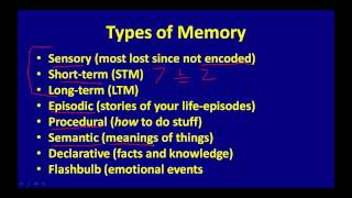 Types of Memory [upl. by Marnie274]