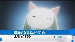 MMXI Animax Promos 2011年冬アニマックス新番宣まどかマギカ七分四一秒 [upl. by Odnumyar568]