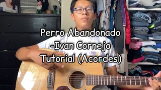 Perro Abandonado Ivan Cornejo  Tutorial Guitarra [upl. by Missak]