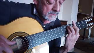 Il testamento consigli per chitarra Giuseppe Capannini  Fabrizio de André cover tutorial [upl. by Marlowe]