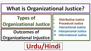 What is Organizational Justice Types of Organizational Justice UrduHindi [upl. by Ciapas]