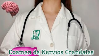 ASMR Examen de Nervios Cranéales 🧠 [upl. by Kathleen]