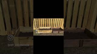 Installing wood fence amp building raised garden beds shorts youtubeshorts viralvideo trending [upl. by Eiliah]