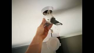 LED Downlight installation and replacement [upl. by Einnal]