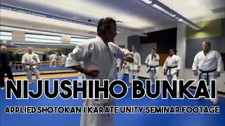 Nijushiho Bunkai seminar footage [upl. by Ethban158]