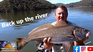 hawkesbury river fishing Back up the river [upl. by Gunthar456]