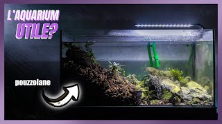 Cet aquarium est MOCHE mais tellement EFFICACE [upl. by Malamut]