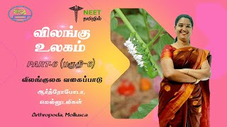 Animal Kingdom  Part 6 Classification of Animals  Arthropoda  Mollusca  NEET Tamil [upl. by Llieno934]