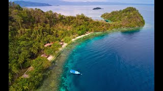 Diving Indonesia 2019 at Salibay Resort [upl. by Langille]