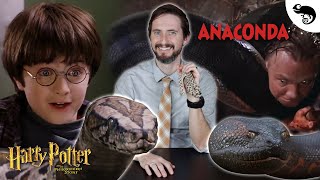 Zoologist Reacts To Famous Movie Snakes [upl. by Matthiew]