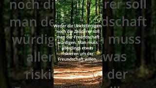 Zitate zum Nachdenken 49 ☘ [upl. by Alrich]