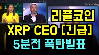 리플 코인 5분전 긴급속보 리플CEO 폭탄발표 드디어 작심했다 XRP 3000시대 문 여나 리플목표가 리플호재 리플전망 리플코인목표가 리플코인호재 리플코인전망 [upl. by Marzi777]