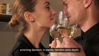 Semillon vs Sauvignon Blanc Guide [upl. by Tohcnarf]