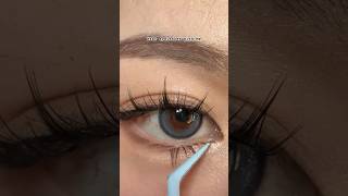 eyelashes eyelashtutorial makeup makeupshorts [upl. by Line131]