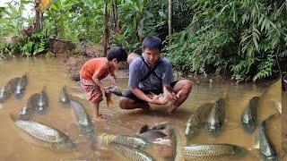 Single father and children meet giant school of fish catch fish  cook with children [upl. by Natika796]