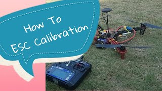 how to calibrate esc on dji naza m lite esc calibration [upl. by Witt]