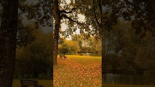 The beauty of Germany’s villages 🇩🇪🍃✨❤️🦋 germany nature village ytshortsvideo [upl. by Greer]