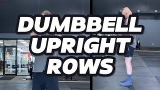 Dumbbell Upright Rows [upl. by Maddis426]