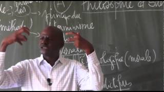 Philosophie et Science par M Elhadj Songué Diouf leçon 2 [upl. by Leggat]