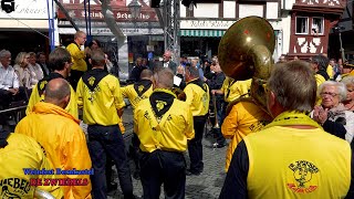 Boerenkapel De Zwiebels auf dem Weinfest in Bernkastel [upl. by Assirrec431]