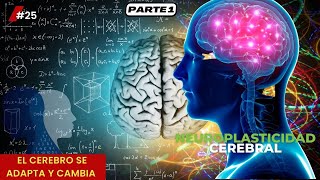 Neuroplasticidad Cómo el Cerebro se Adapta y Cambia  Parte I [upl. by Deering]