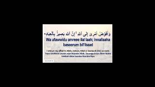 Wa ufawwidu amri ilaAllah innaAllaha basirun bilibad x 11 Surah Ghafir  The Forgiver Verse 44 [upl. by Aurelea]