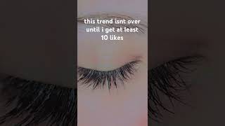 eyes lashes lashextensions eyelashes blueeyes trend eye wisteria eyetrend world [upl. by Nilahs322]