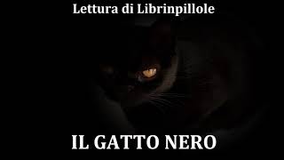 Edgar Allan Poe  Il Gatto Nero Audiolibro Italiano Completo [upl. by Bettencourt]