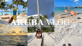 ARUBA TRAVEL VLOG  My First Solo Trip Relaxing  Feeding Flamingoes  Parasailing amp more [upl. by Haye533]