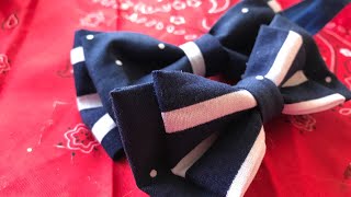 DIY Bow Ties Done 2 Ways [upl. by Somar786]