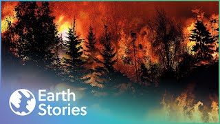 Historys Worst Fire Disasters  Code Red  Earth Stories [upl. by Jaf]