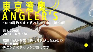 【東京湾奥】旧江戸川／チニング／クロダイ釣り／ホントに簡単に釣れるのか？ シーバス釣り2024 6月下旬 Can We Catch Fish In Tokyo Bay 60 [upl. by Pergrim]