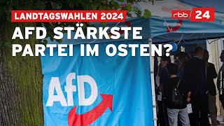 Wahlen in Sachsen und Thüringen 2024 Das sind die Reaktionen aus Brandenburg [upl. by Markus]