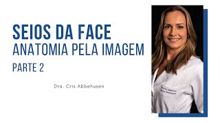 SEIOS DA FACE ANATOMIA PELA IMAGEM Parte 2 [upl. by Natica]