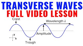 Transverse Waves Lesson amp Examples SAT PhysicsAP Physics 1NY Regents Physics [upl. by Nileuqcaj535]