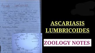 Ascariasis lumbricoides life cycle notes in hindi biology vbu science ascariasisnotes [upl. by Nosemaj]