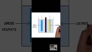 Lithium Ion Battery Components [upl. by Four55]