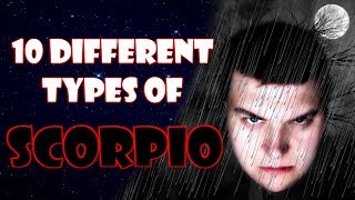 10 Different Types of Scorpio [upl. by Chung]