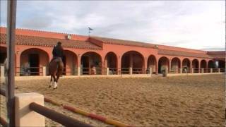 vente de chevaux iberiques IREUwmv [upl. by Saire]