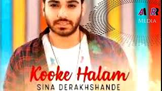 Sina Derakhshande  Kooke Halam  Single  микс 2024 [upl. by Ameerak794]